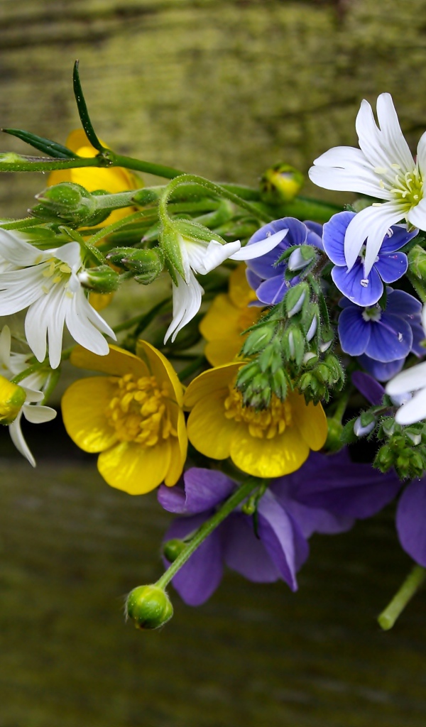 Красивый букет полевых цветов