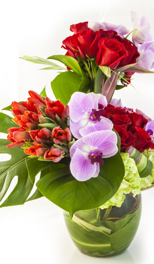 Красивые цветы в стеклянной вазе на белом фоне