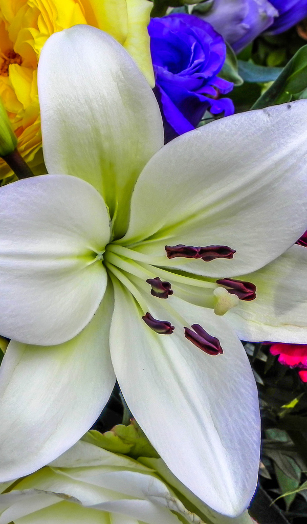 Beautiful large white lily in a bouquet close-up