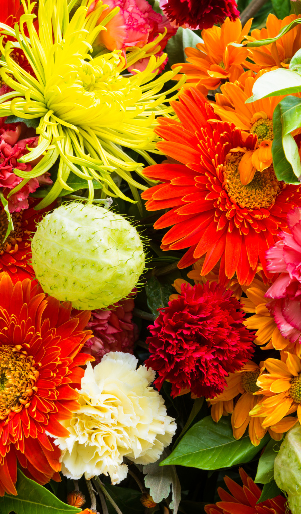 Красивый разноцветный букет из разных цветов 