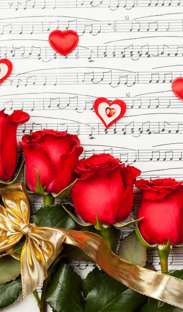 Красивые красные английские розы лежат на нотной тетради