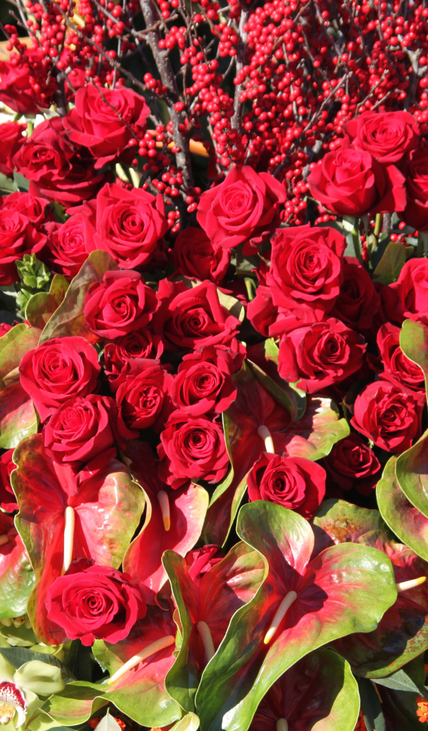 Красивые красные розы с цветами антуриум