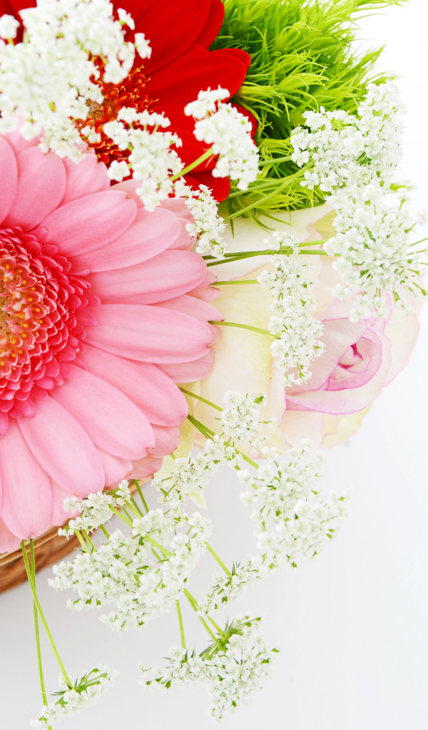 Красивый нежный букет с цветами герберы на белом фоне