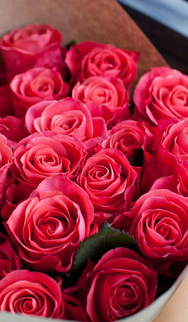 Большой красивый букет розовых роз