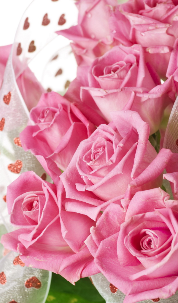 Большой красивый букет розовых роз с атласной лентой на белом фоне