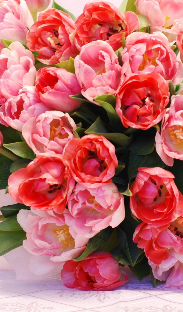 Большой красивый букет розовых тюльпанов крупным планом