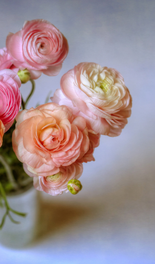 Букет лютиков в вазе на сером фоне