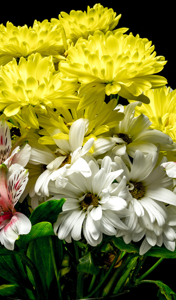 Букет с цветами хризантемы и альстромерии на черном фоне