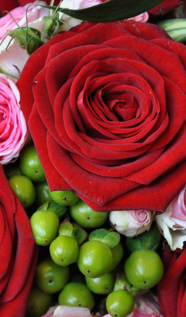 Букет из крупных красных роз с розовыми 