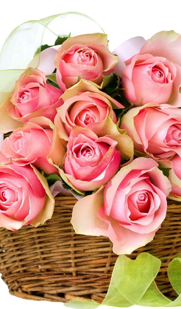 Букет розовых роз в корзине с лентой на белом фоне