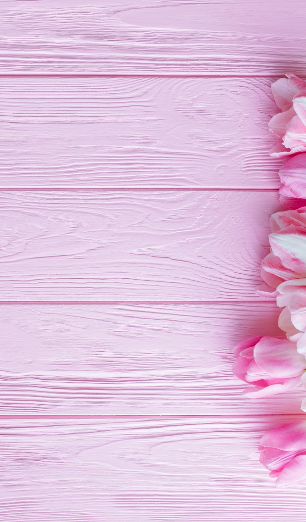 Букет розовых нежных тюльпанов на розовой поверхности 