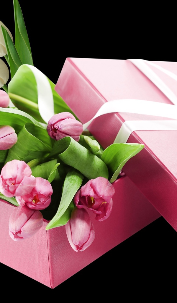 Букет розовых тюльпанов в розовой коробке на черном фоне