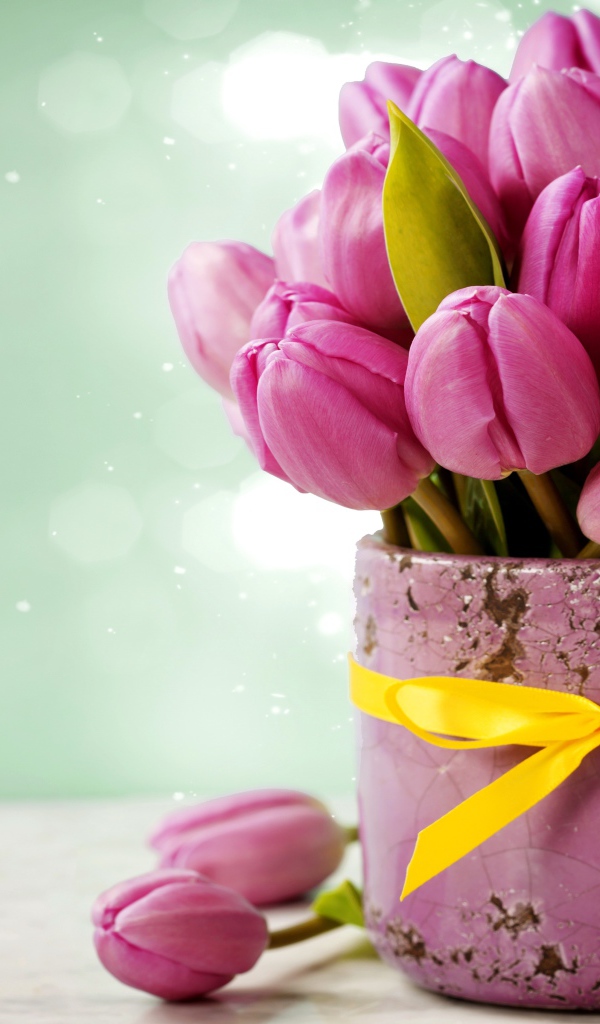 Букет розовых тюльпанов в горшке с желтым бантом