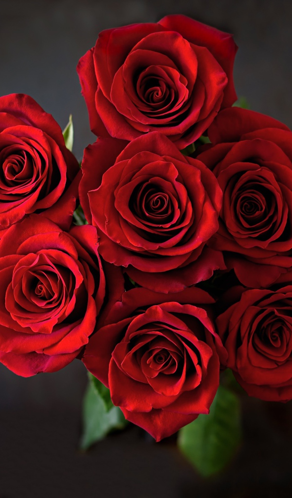 Букет красных роз на сером фоне вид сверху