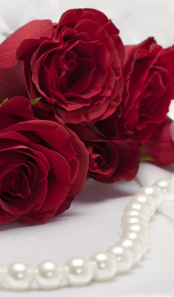 Букет красных роз с белыми жемчужными бусами 