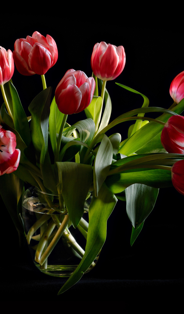 Букет красных тюльпанов в стеклянной вазе на черном фоне
