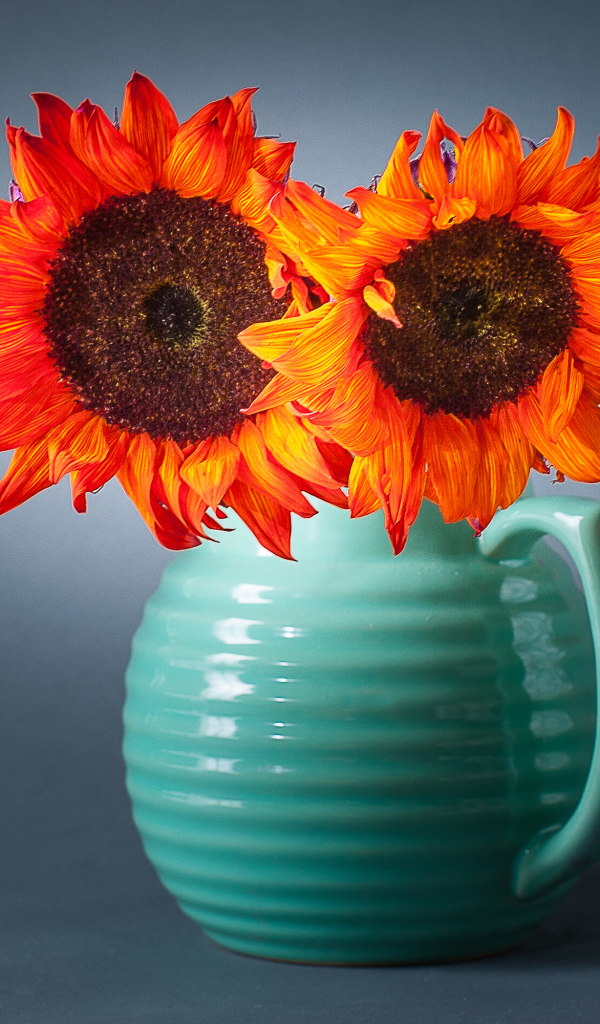 Букет подсолнухов  в голубой вазе на сером фоне