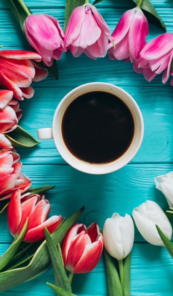 Букет тюльпанов с чашкой кофе на голубом фоне