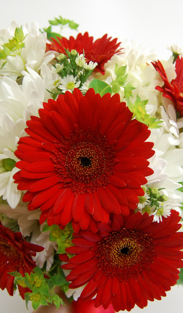 Букет белых хризантем с красными герберами