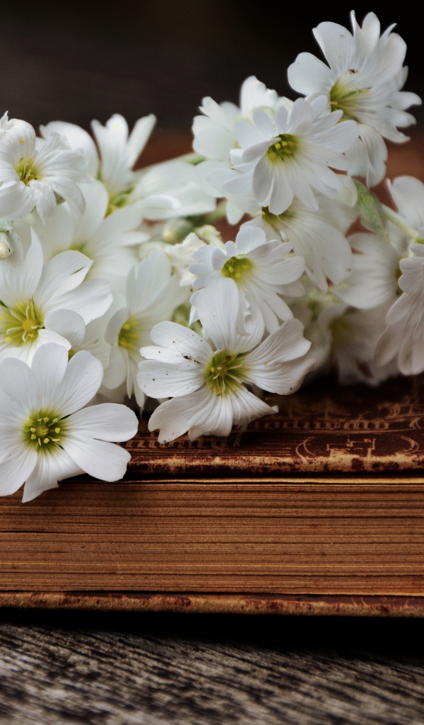 Букет белых нежных цветов на старой книге 