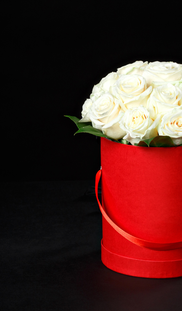 Букет белых роз в красном ведре на черном фоне