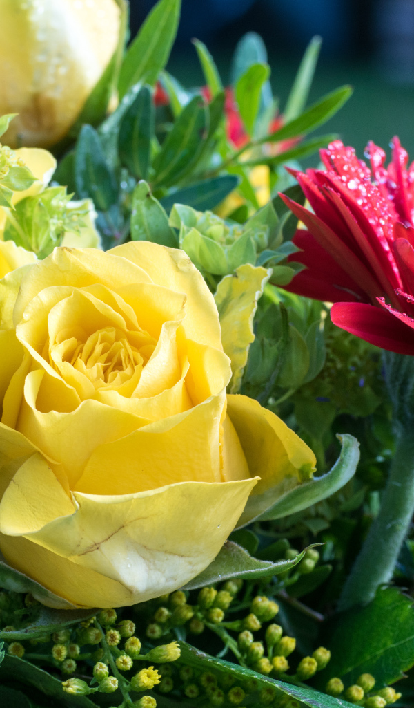 Букет желтых роз с красными цветами герберы 