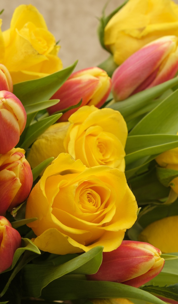 Букет желтых  роз с тюльпанами