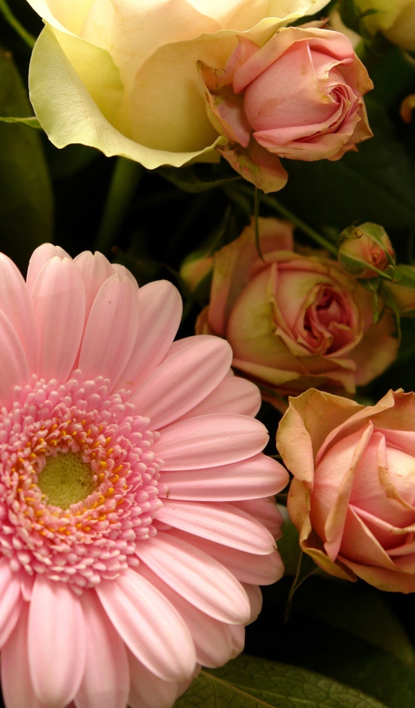 Букет с розовыми герберами и розовыми розами