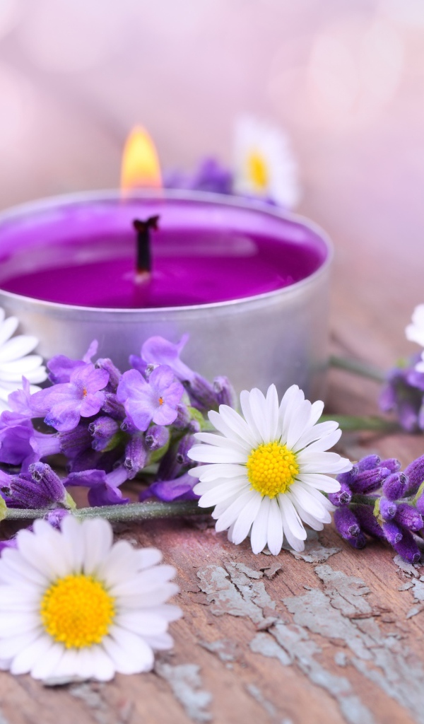 Зажженная свеча с цветами ромашки и лаванды