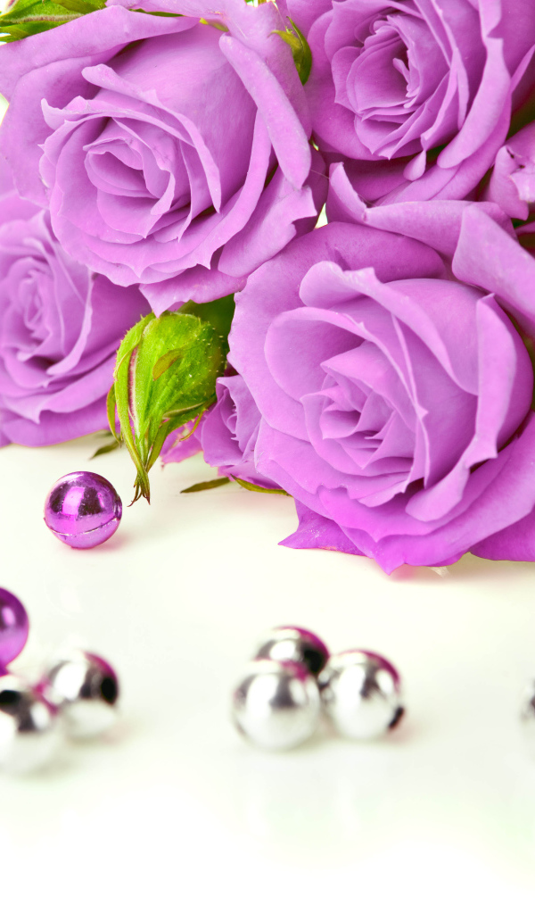 Сиреневые розы с бусинами на белом фоне