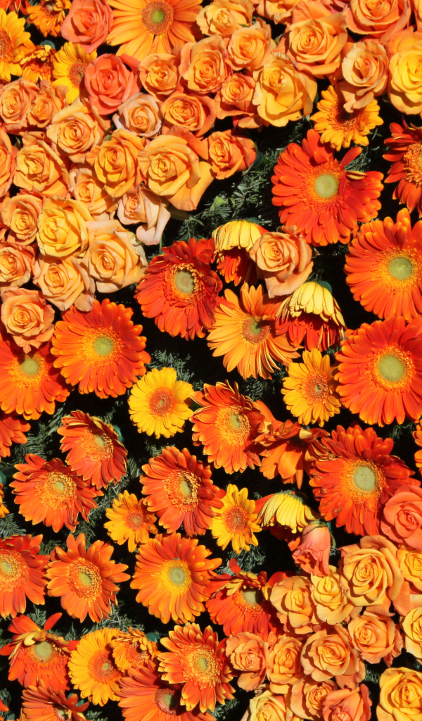 Оранжевые розы и герберы вид сверху