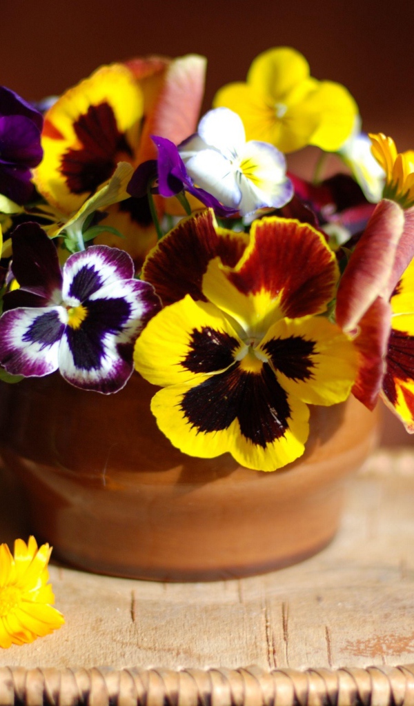 Цветы анютины глазки в вазе 