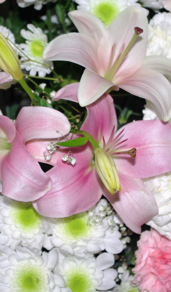 Розовые лилии с белыми и розовыми гвоздиками