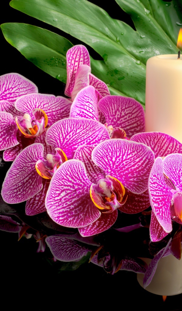 Розовые орхидеи с черными камнями и зажженными свечами