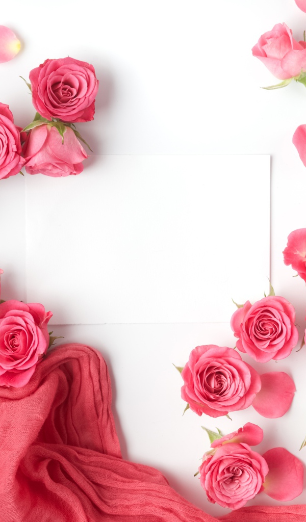 Розовые розы с белым листом бумаги на белом фоне