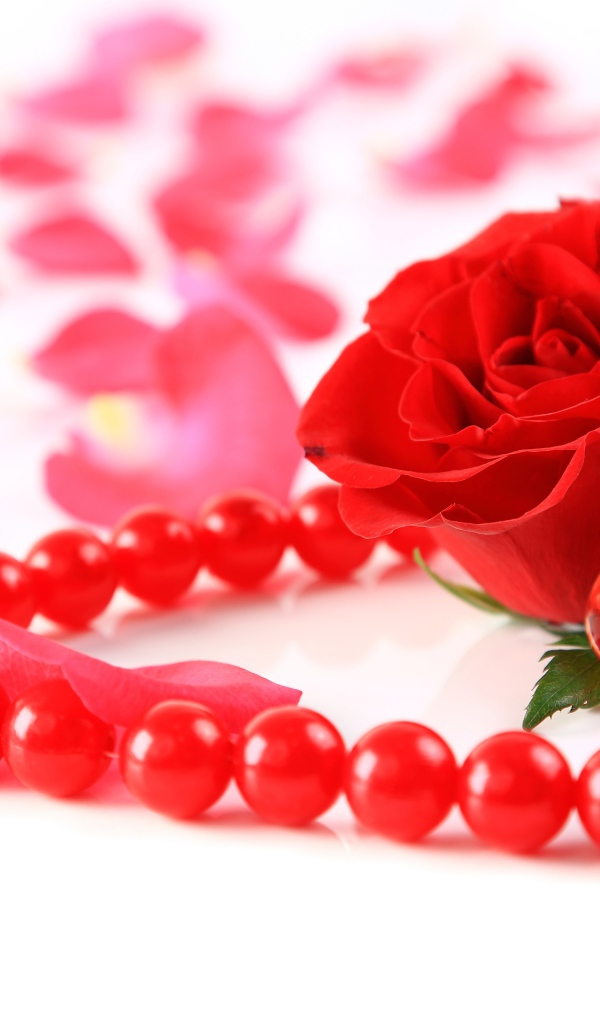 Красная роза с бусами и маленьким красным сердечком