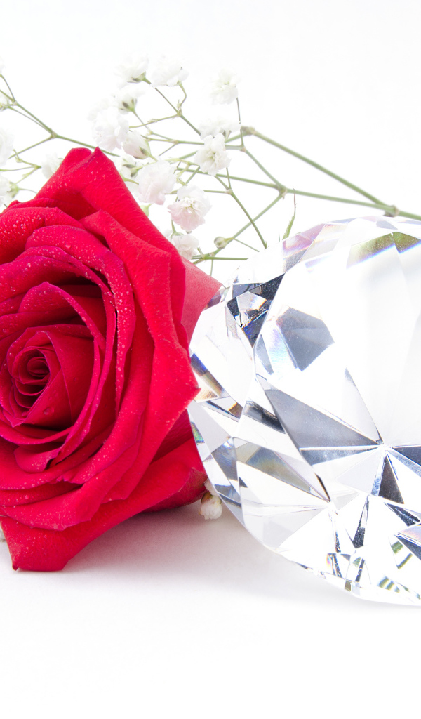 Красная роза с большим бриллиантом на белом фоне