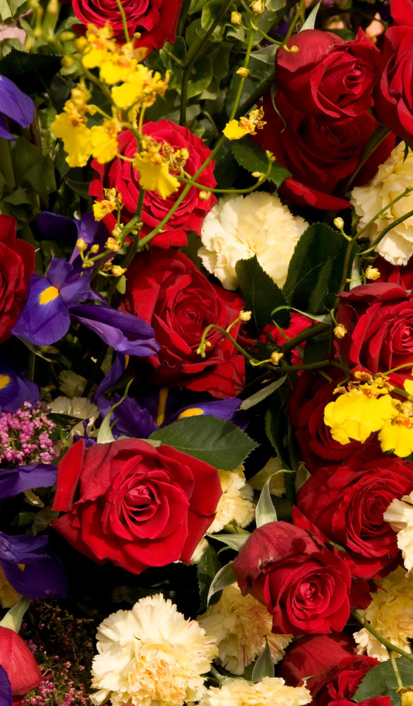 Розы, ирисы, гвоздики, орхидеи крупным планом