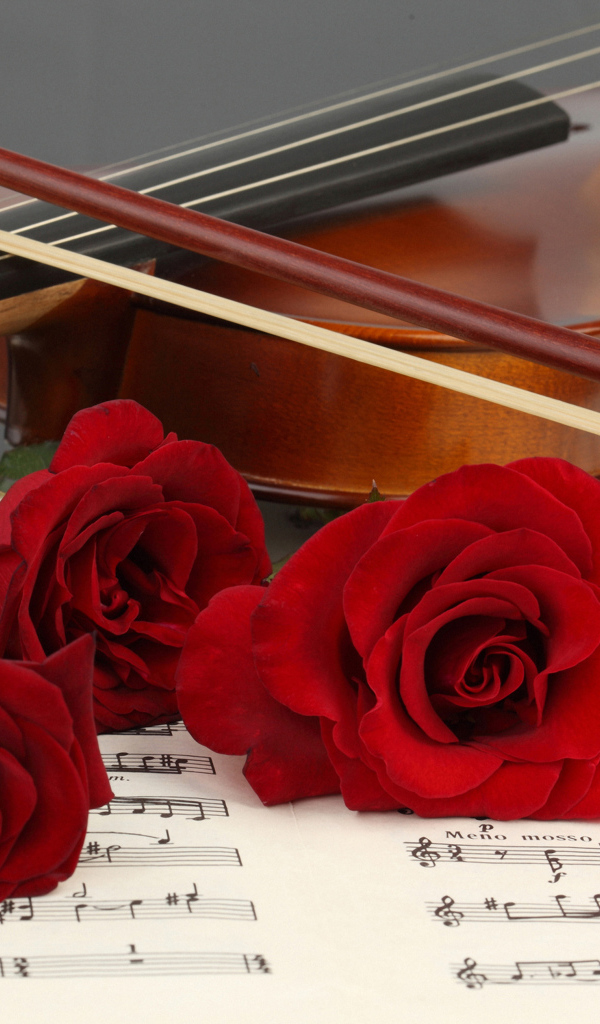 Три красные розы лежат на нотной тетради со скрипкой