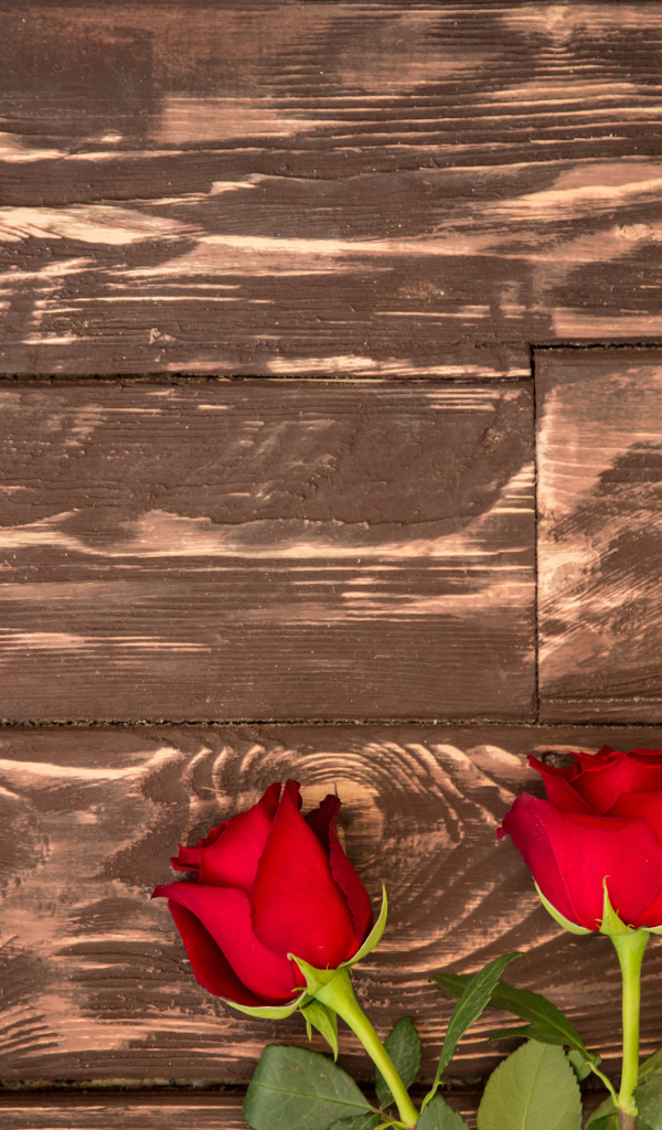 Три красные розы на деревянном фоне