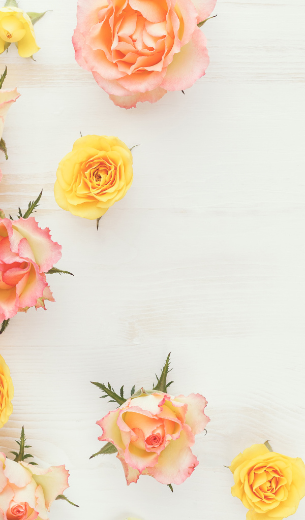 Сорванные цветы розовой и желтой розы на столе 