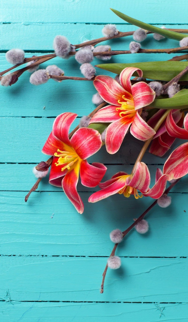 Тюльпаны с веточками вербы на голубом фоне