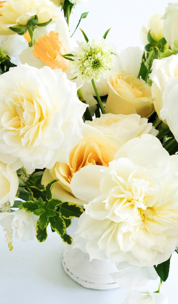 Белые и оранжевые розы крупным планом в букете