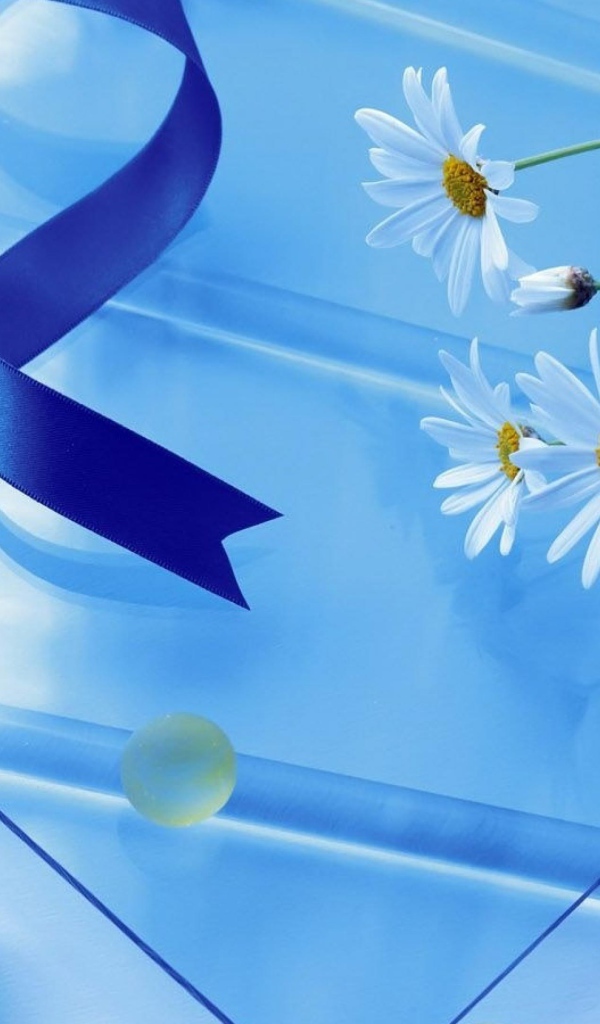 Белые ромашки на стеклянном столе с атласной лентой 