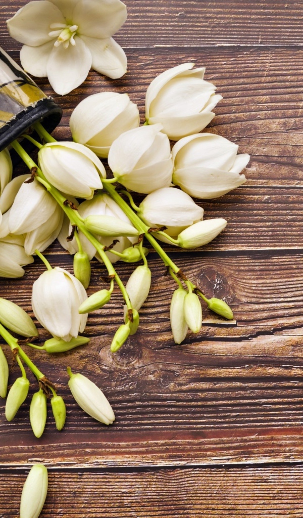 Белые цветы на деревянном фоне