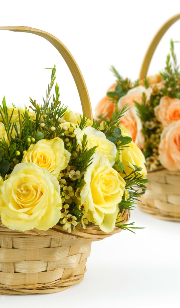 Желтые и оранжевые розы в корзинках на белом фоне
