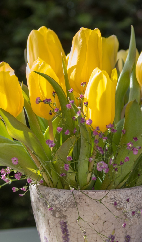 Желтые тюльпаны с цветами гипсофилы в вазе