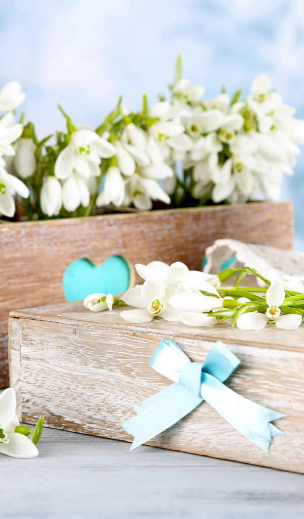 Красивые нежные белые подснежники в деревянном ящике