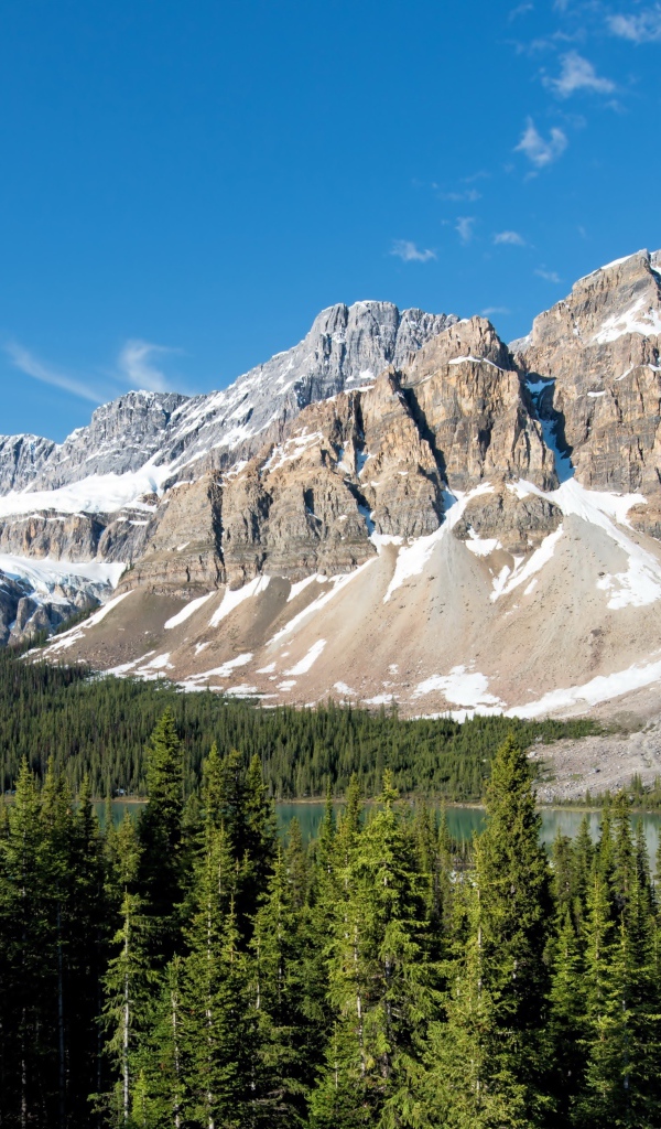Заснеженные горы с озера у зеленого леса под голубым небом