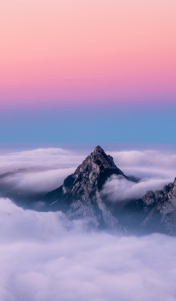 Верхушки гор в белых облаках под красивым розовым небом 